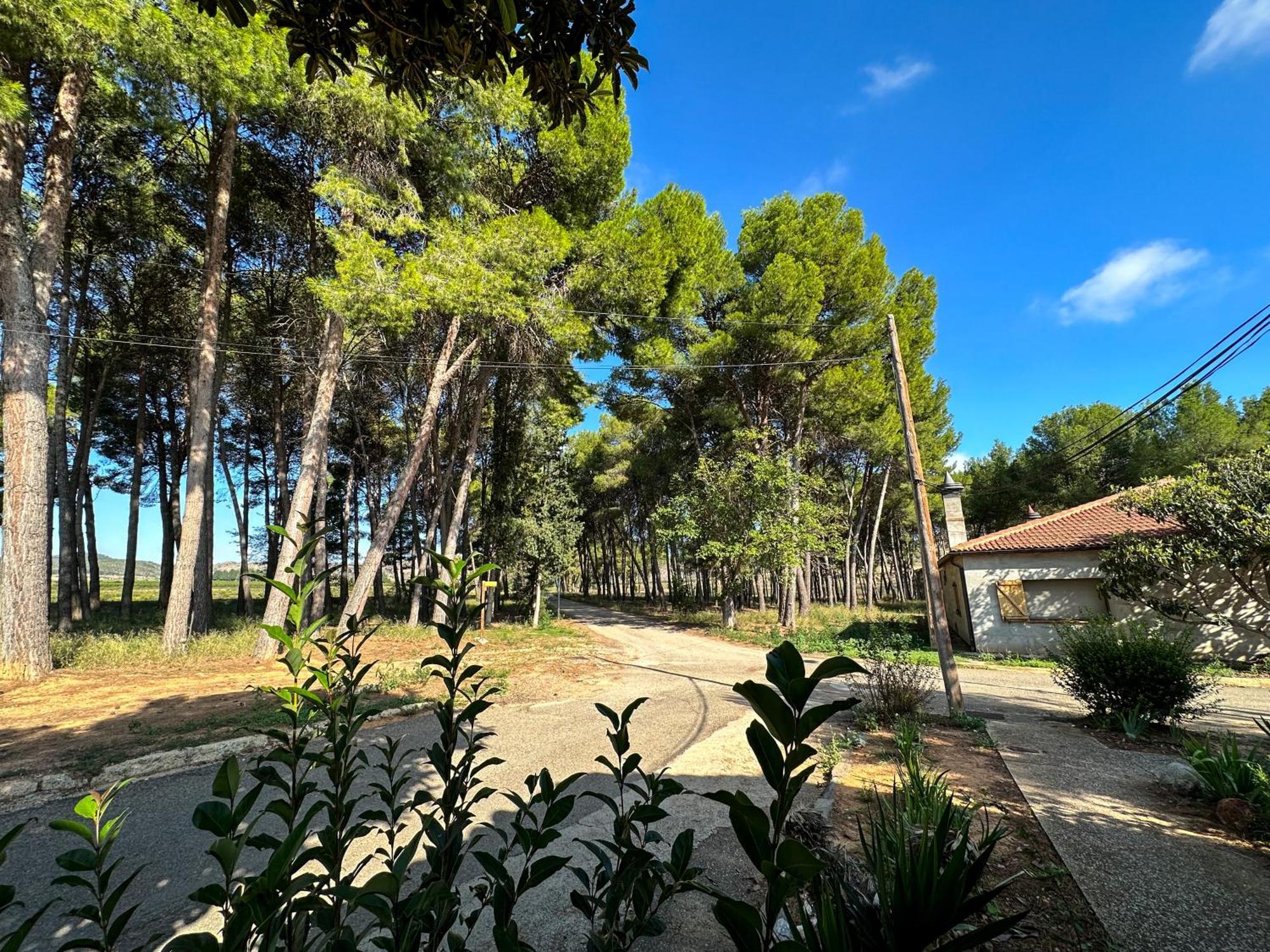 Casa Rural Los Pinos Valmuel Екстериор снимка