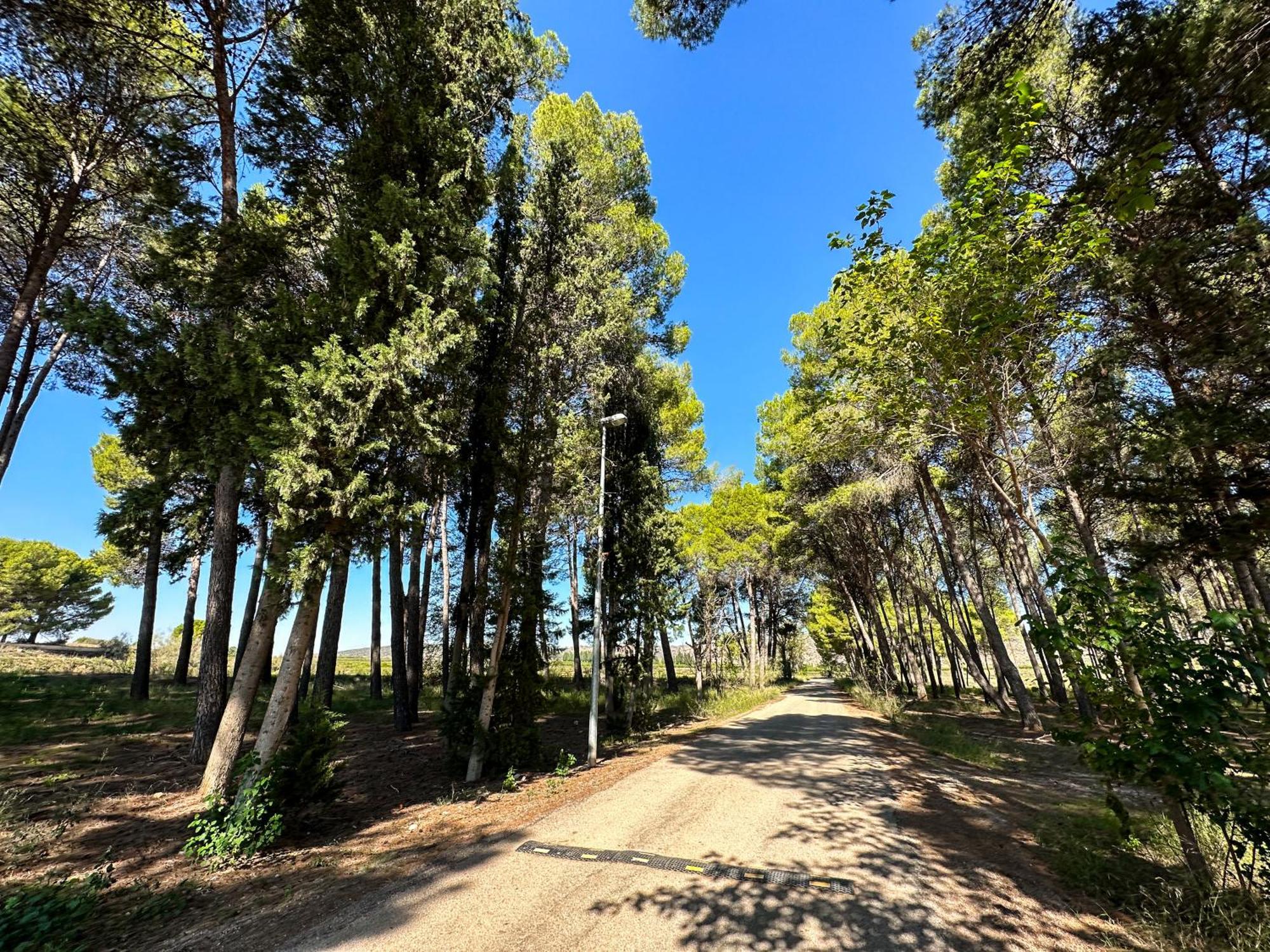 Casa Rural Los Pinos Valmuel Екстериор снимка